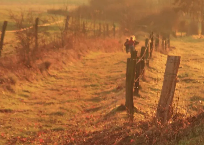 Relax & Play In Ardennes Ferienhaus